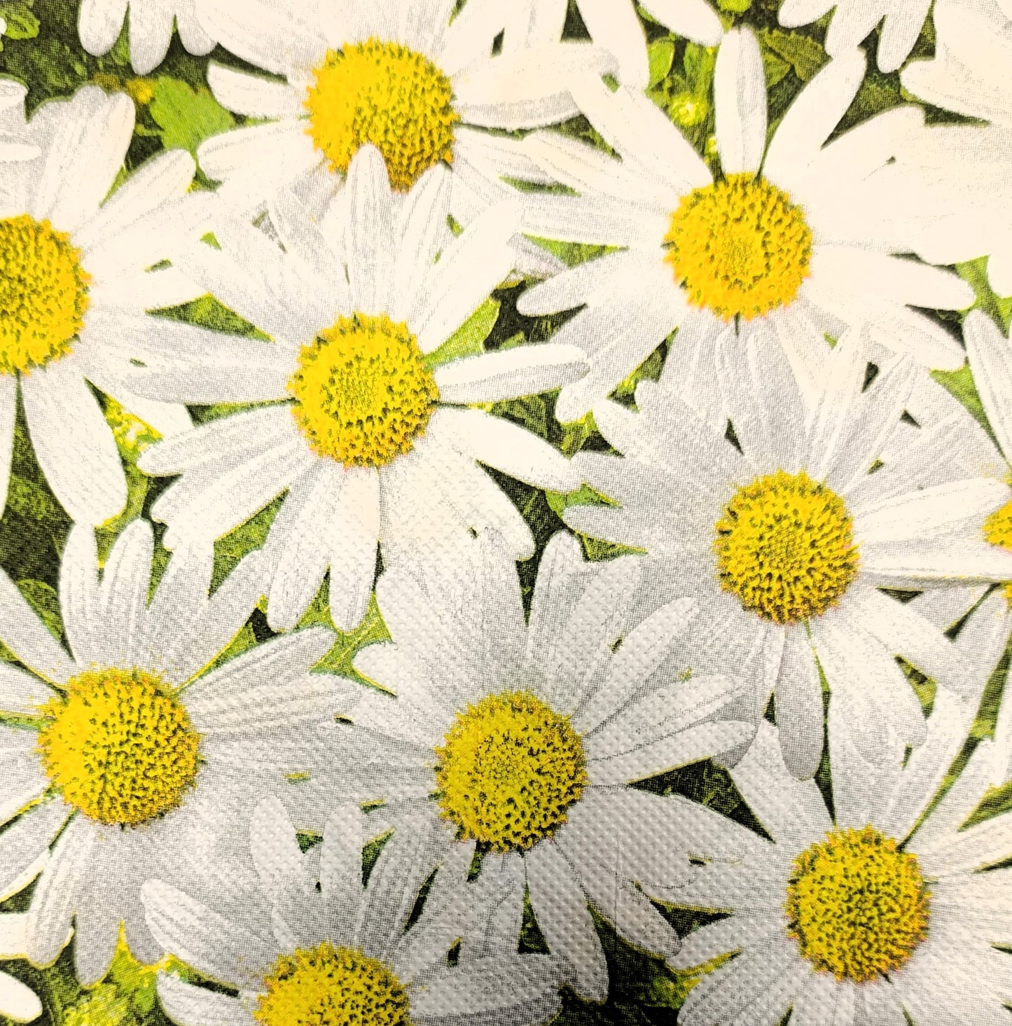 Serviette - Ladybug in daisies