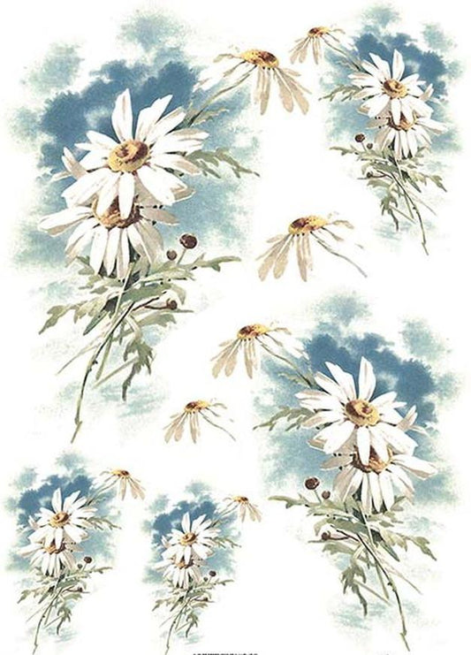 Reispapier A4 - Daisies - Bastelschachtel - Reispapier A4 - Daisies