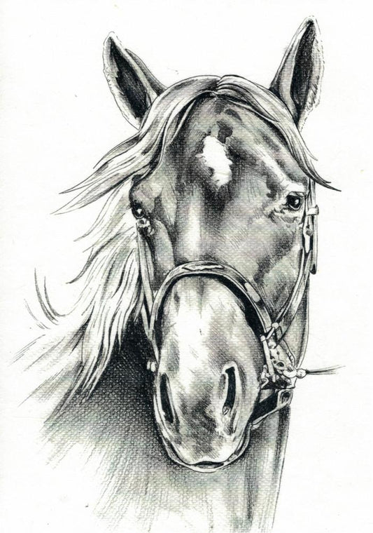 Reispapier A4 - Horse portrait - Bastelschachtel - Reispapier A4 - Horse portrait