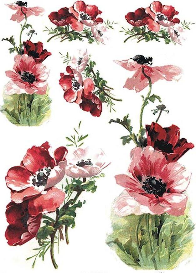 Reispapier A4 - Poppy - Bastelschachtel - Reispapier A4 - Poppy